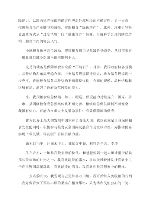 粮食安全形势与政策论文范文十篇.docx
