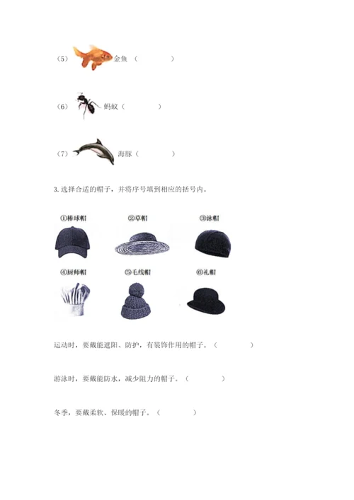 教科版小学二年级上册科学期末测试卷含答案【培优b卷】.docx