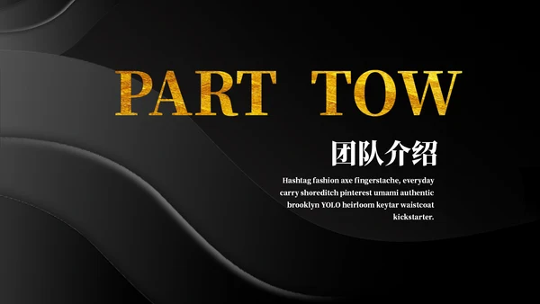 黑金质感商务计划书通用PPT模板