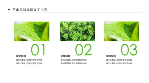 绿色清新植物生长敬畏生命成长励志PPT模板