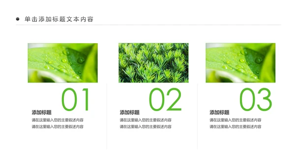 绿色清新植物生长敬畏生命成长励志PPT模板