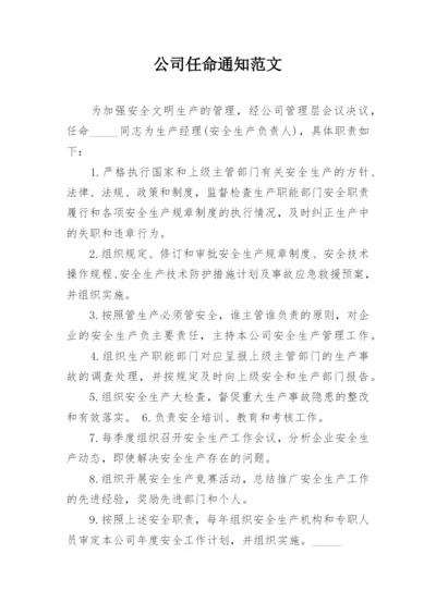 公司任命通知范文.docx