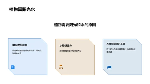 探索科学，点燃梦想