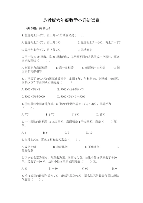 苏教版六年级数学小升初试卷（word）.docx