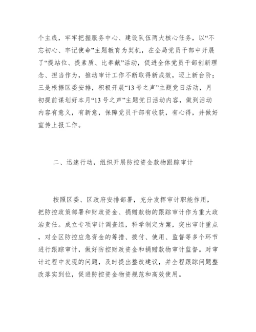 审计委员会办公室上半年工作总结.docx