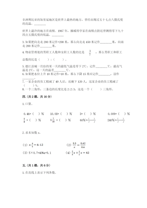 苏教版六年级数学小升初试卷（夺冠）.docx