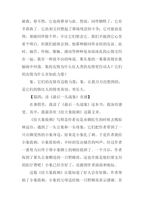 读最后一头战象有感600字.docx