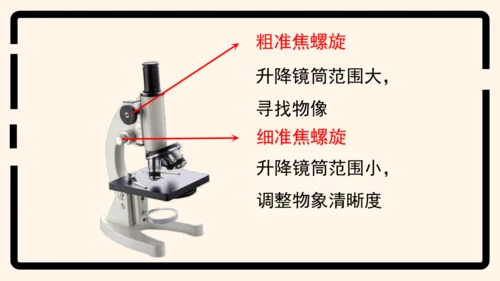 2.1.1练习使用显微镜课件2023--2024学年人教版生物七年级上册(共32张PPT)
