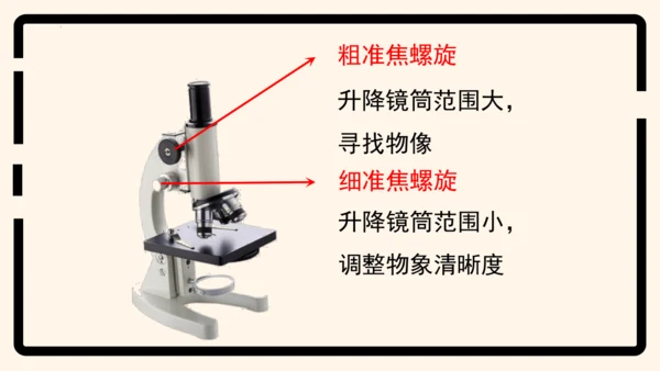 2.1.1练习使用显微镜课件2023--2024学年人教版生物七年级上册(共32张PPT)