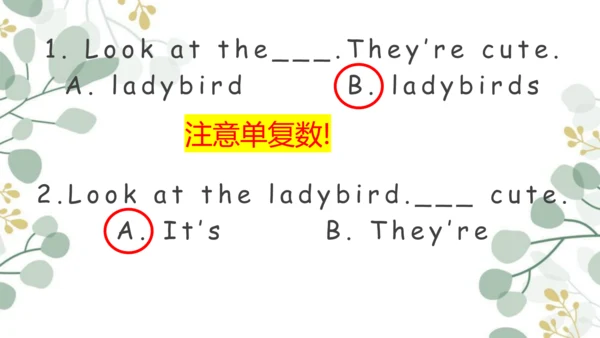 苏州市相城区牛津译林版小学英语一年级下册期末单元复习Unit 5-Unit 8复习课件(共25张PP
