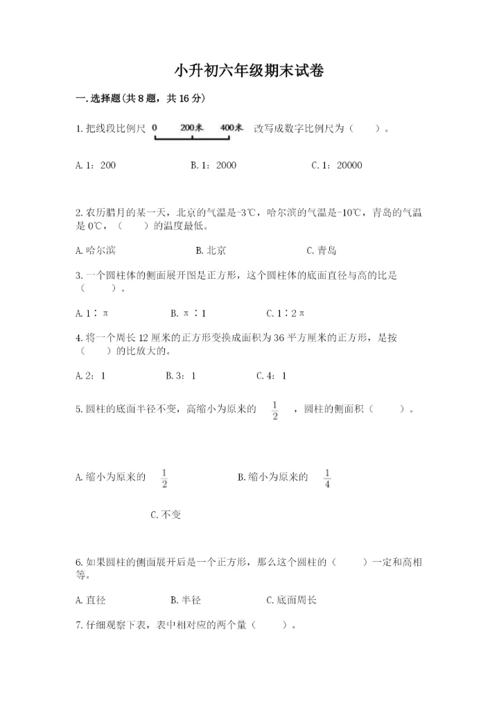 小升初六年级期末试卷精品（典优）.docx