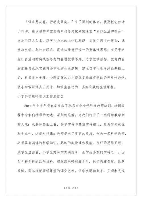 2022小学科学教师培训工作总结.docx
