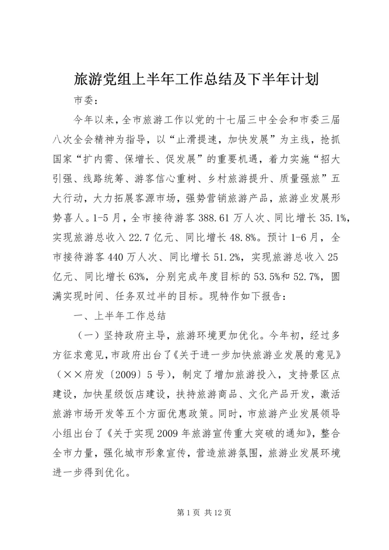 旅游党组上半年工作总结及下半年计划.docx