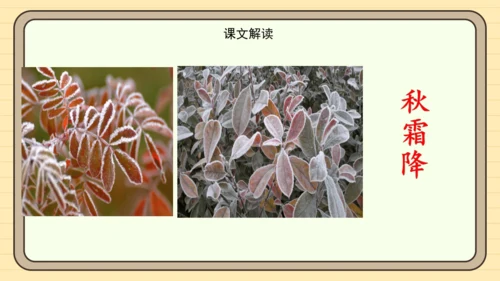 识字1 春夏秋冬（课件）