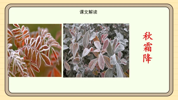 识字1 春夏秋冬（课件）
