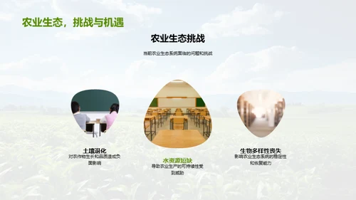 农业生态守护策略