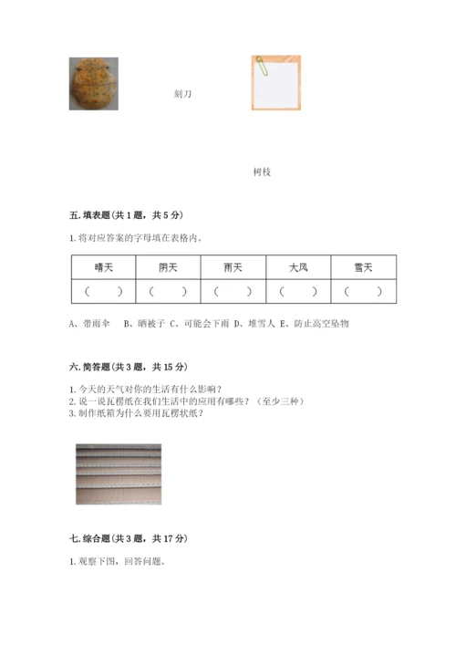 教科版小学二年级上册科学期末测试卷含完整答案（网校专用）.docx
