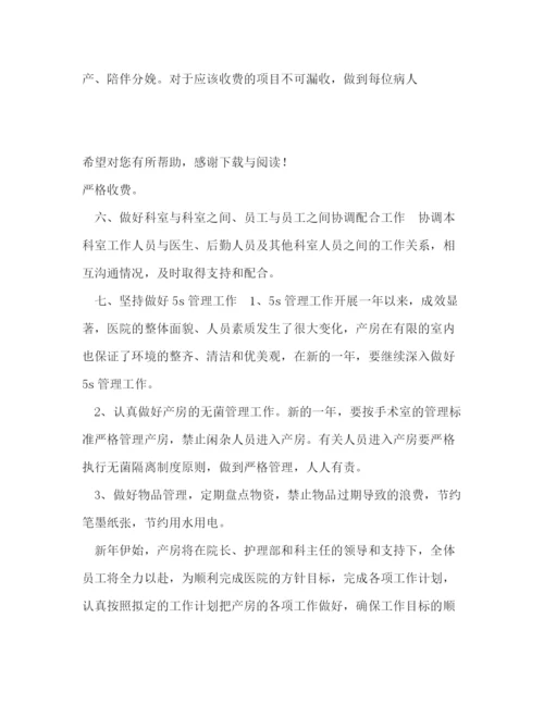 精编之医院产科工作计划范文.docx