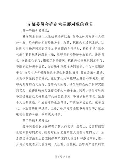 支部委员会确定为发展对象的意见.docx