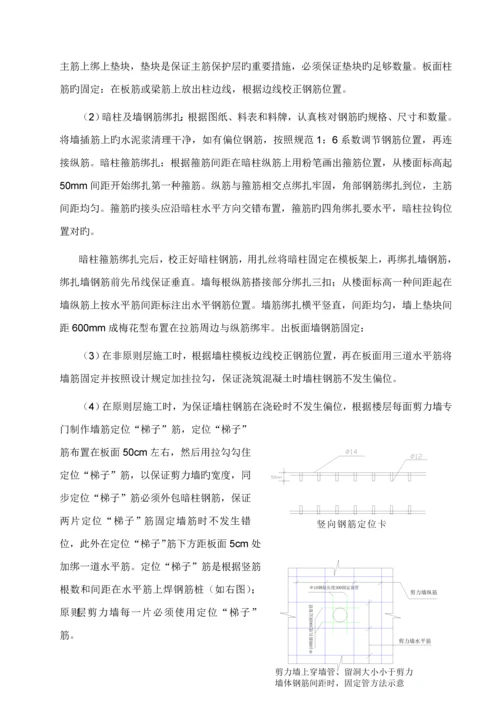 主体结构关键工程综合施工专题方案.docx