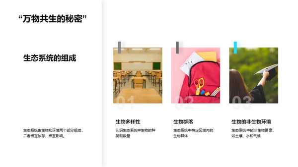 生态环境：平衡与保护