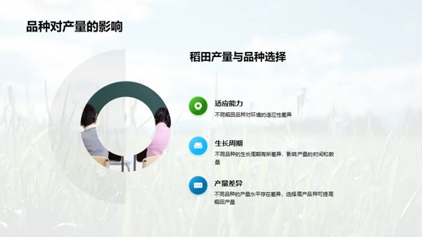 稻田科学种植
