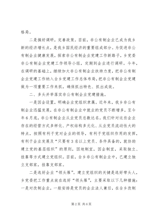 乡非公有制经济党建工作总结.docx