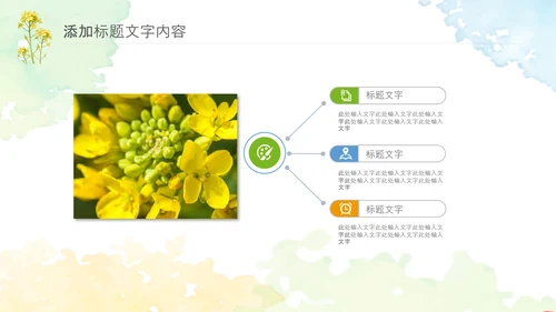 春天乡村旅游油菜花风景油菜花田PPT模板