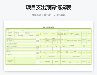 项目支出预算情况表