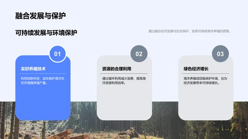 海洋养殖商业方案PPT模板