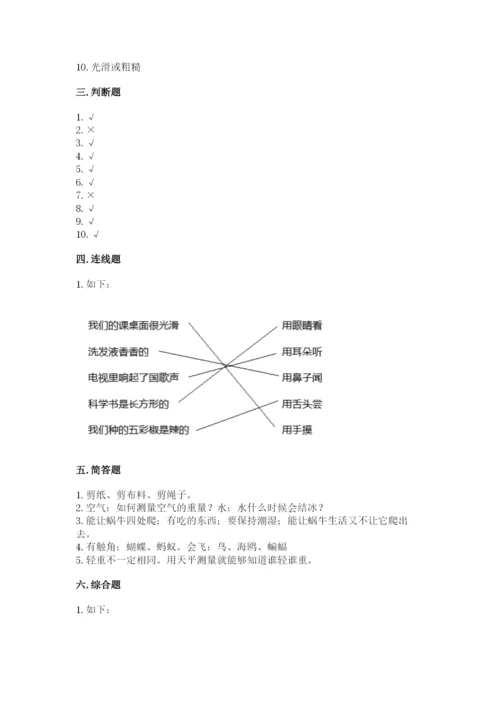 教科版一年级下册科学期末测试卷及参考答案【综合卷】.docx