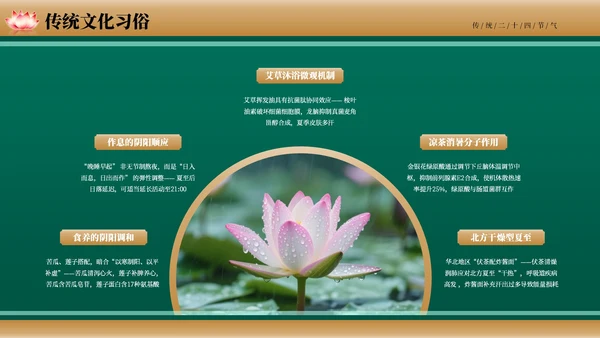 绿色古风二十四节气夏至节气介绍PPT模板