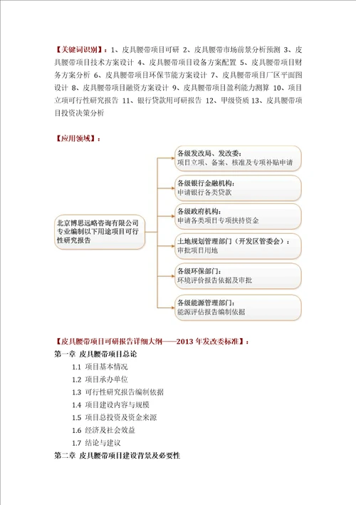 皮具腰带项目可行性研究报告评审方案设计2013年发改委立项标准案例范文