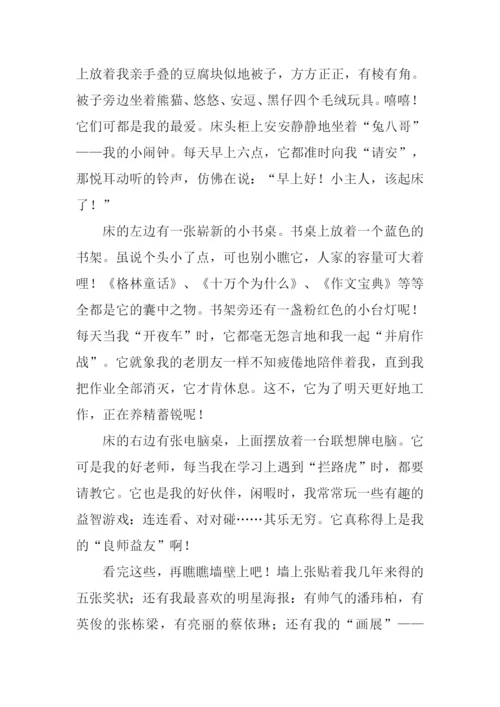 我的小天地作文800.docx