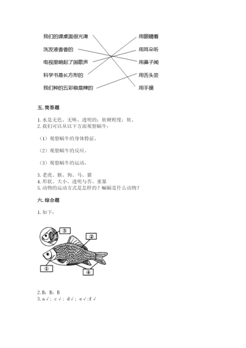 教科版一年级下册科学期末测试卷附答案（满分必刷）.docx