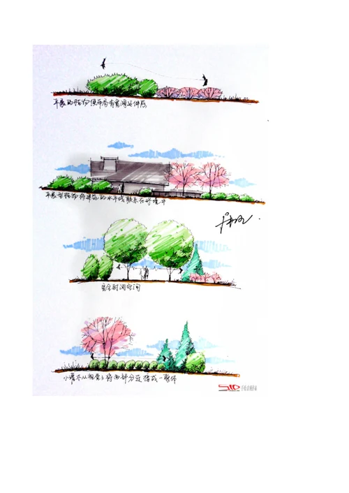 植物配置图解资料
