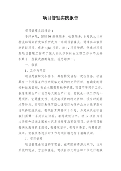 项目管理实践报告.docx