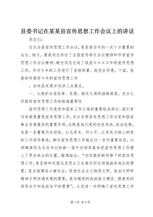 县委书记在某某县宣传思想工作会议上的讲话 (4).docx