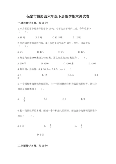 保定市博野县六年级下册数学期末测试卷推荐.docx