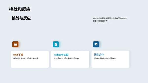 财务回顾与未来视野