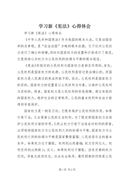 学习新《宪法》心得体会.docx