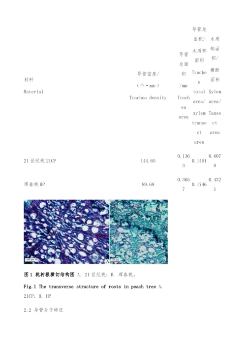 21世纪桃树根的解剖学特征-导管分子.docx