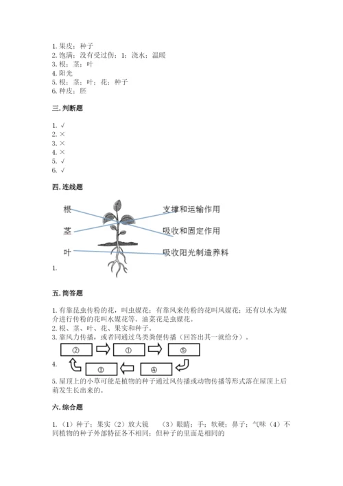 科学四年级下册第一单元植物的生长变化测试卷（达标题）.docx