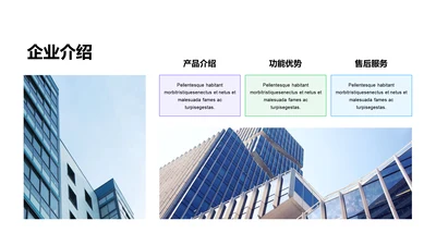 多色扁平3项企业介绍