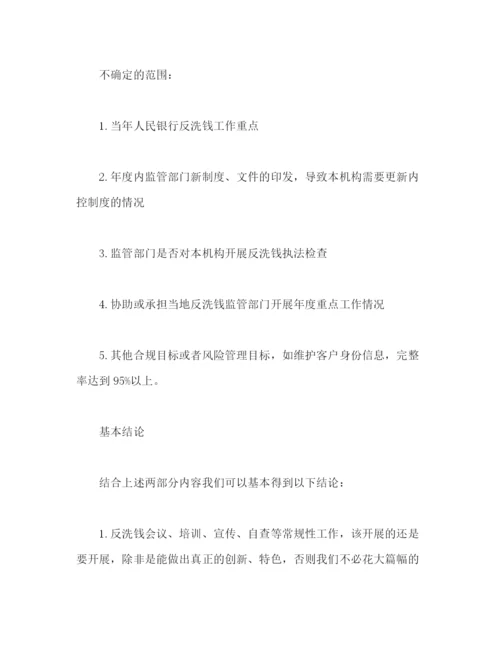 精编之反洗钱年度工作计划范文.docx