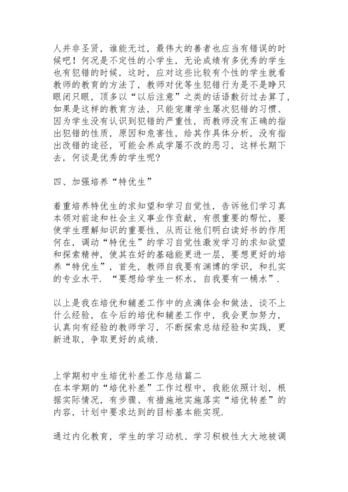 初中上学期教师个人培优补差工作总结.docx