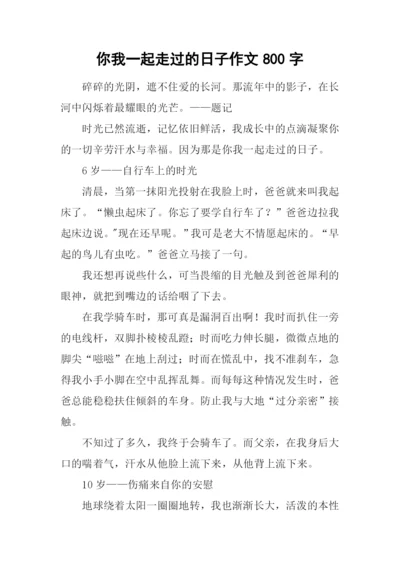 你我一起走过的日子作文800字.docx