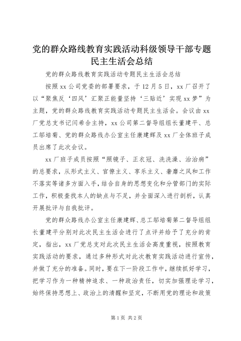 党的群众路线教育实践活动科级领导干部专题民主生活会总结.docx