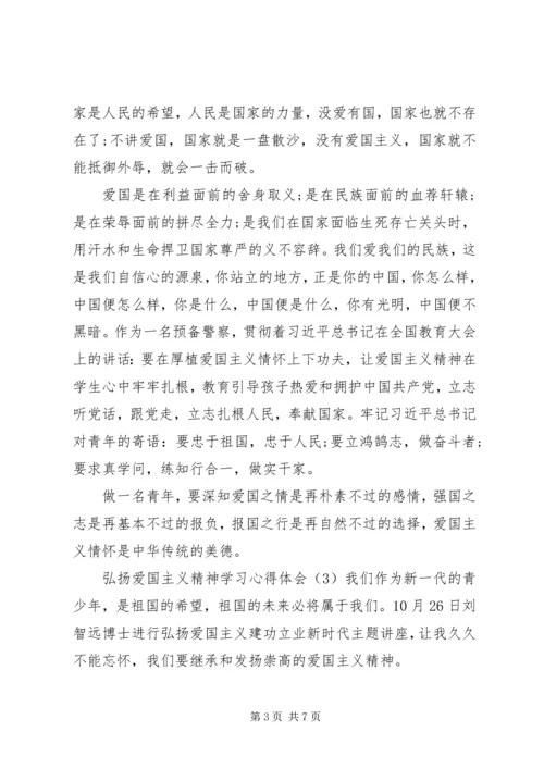 弘扬爱国主义精神学习心得体会4篇.docx