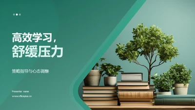 高效学习，舒缓压力